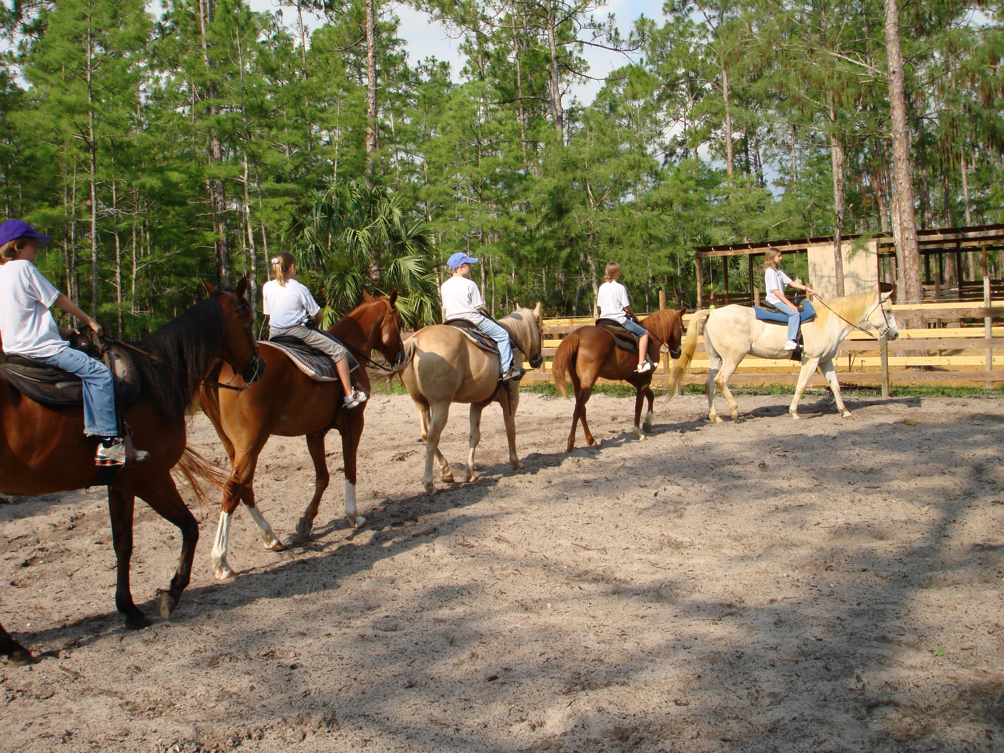 horsecamp.jpg